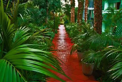فندق Dc Xibana Park 3*